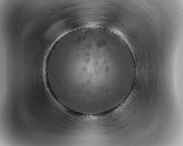 X0000088691235200705311150