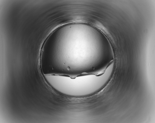 X0000088691236200705311150