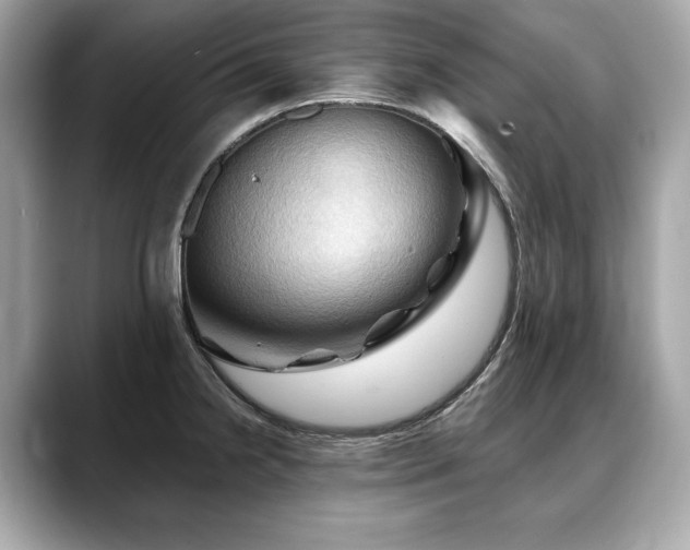 X0000088691238200705311151