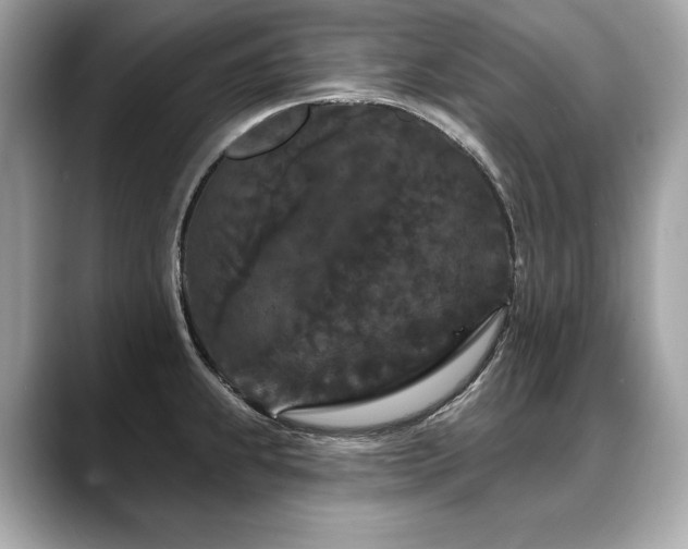 X0000088691239200705311151