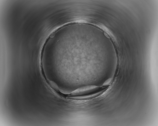 X0000088691240200705311151