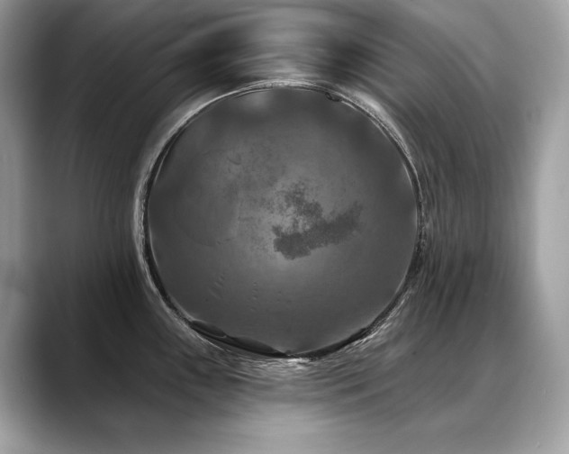X0000088691243200705311151
