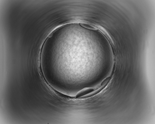 X0000088691244200705311151