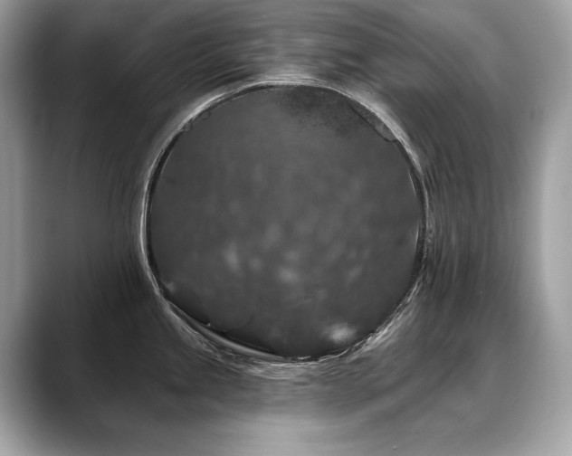 X0000088691245200705311151