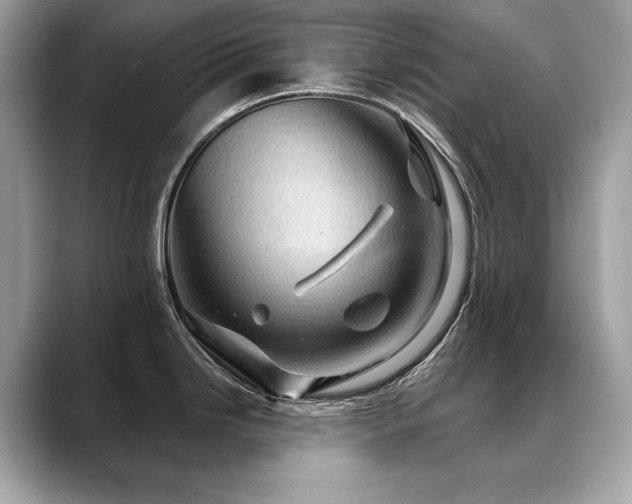 X0000088691246200705311151