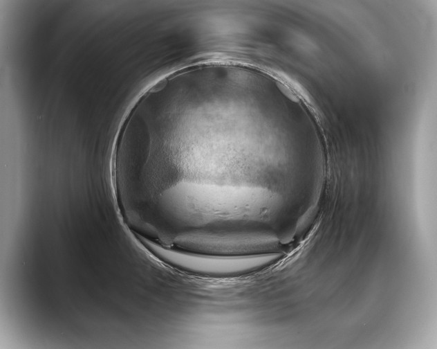X0000088691247200705311151