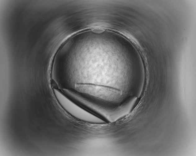 X0000088691248200705311151