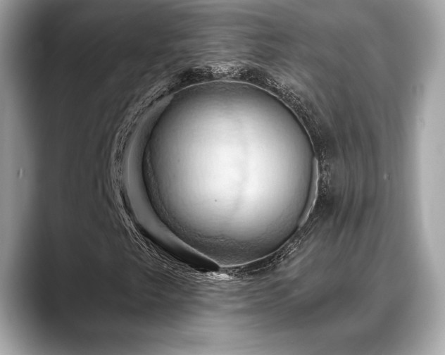 X0000088691249200705311150