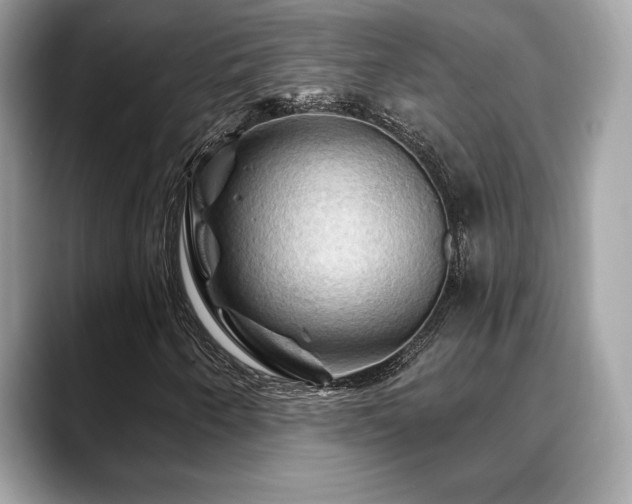 X0000088691250200705311150