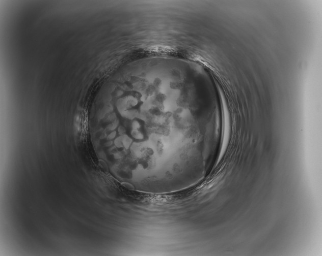 X0000088691251200705311150