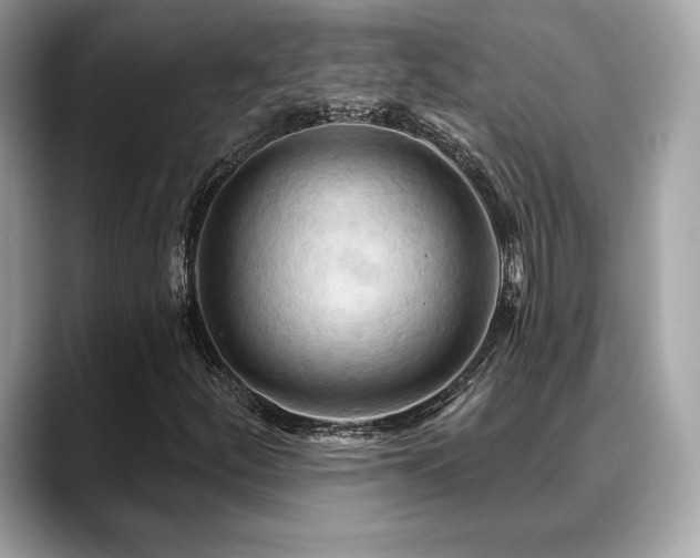 X0000088691252200705311150