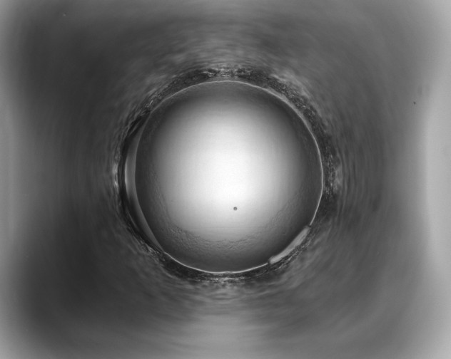 X0000088691253200705311150