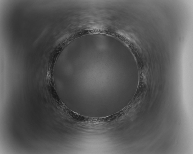X0000088691254200705311150