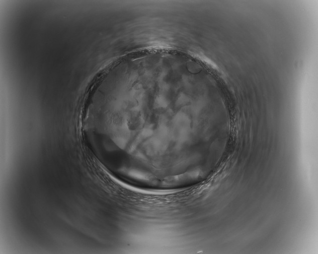 X0000088691255200705311150