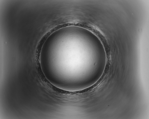 X0000088691256200705311150