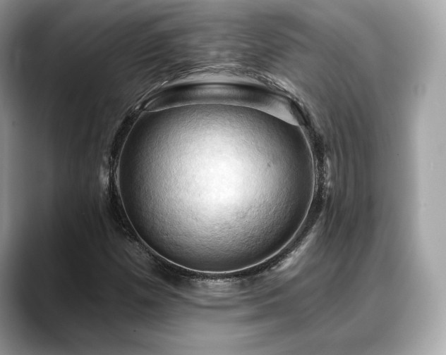 X0000088691257200705311150
