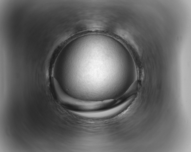 X0000088691261200705311150