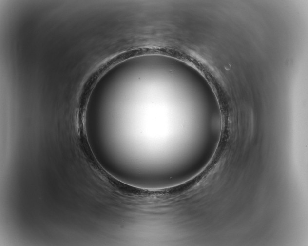X0000088691262200705311150
