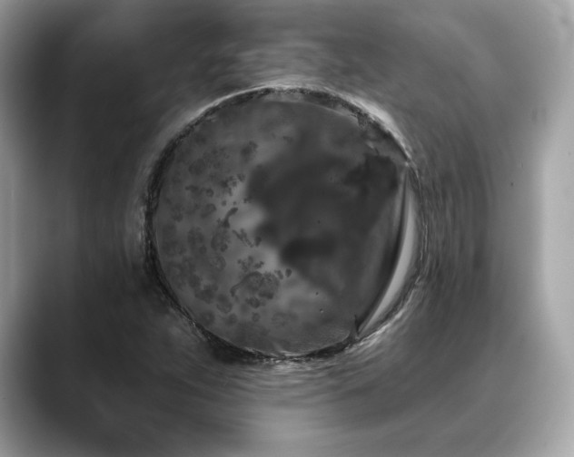 X0000088691263200705311150