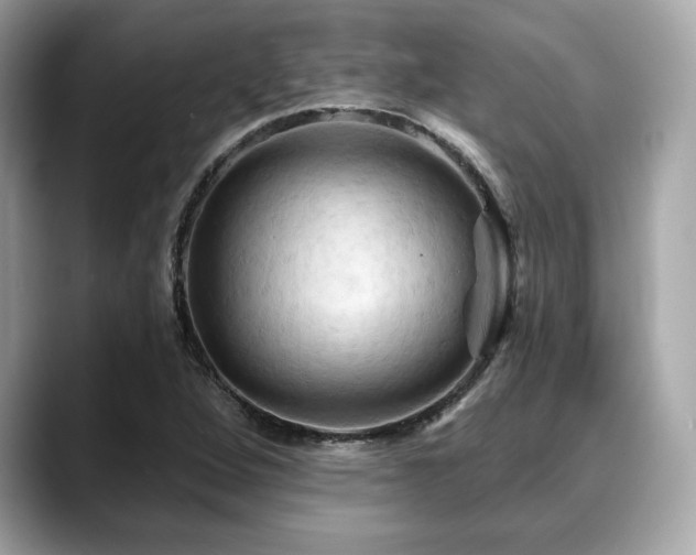 X0000088691264200705311150