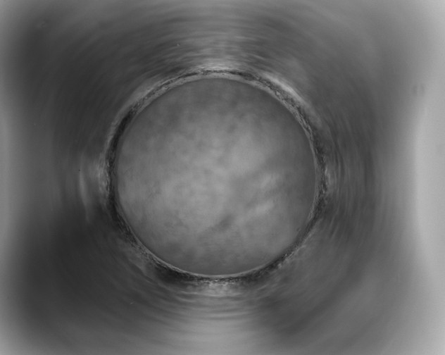 X0000088691266200705311150