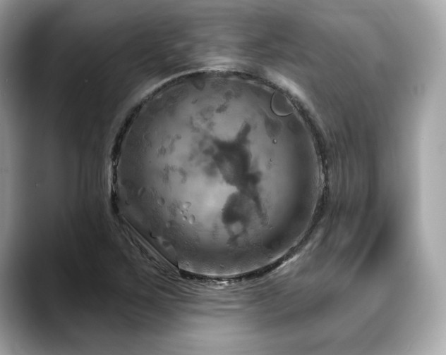 X0000088691267200705311150