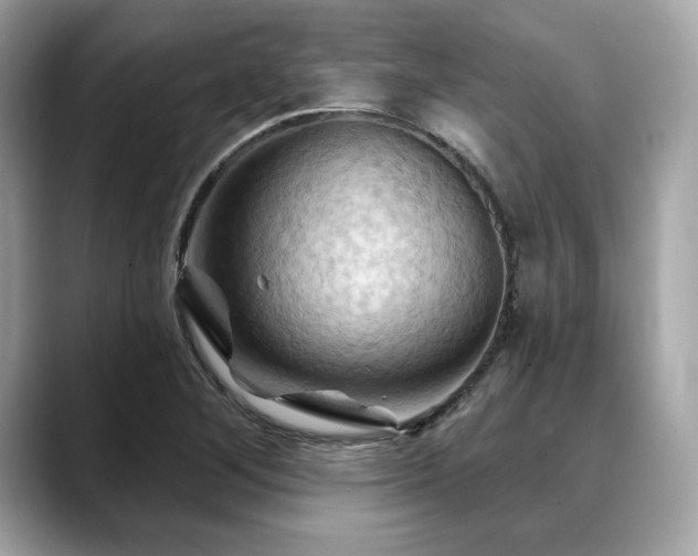 X0000088691268200705311150