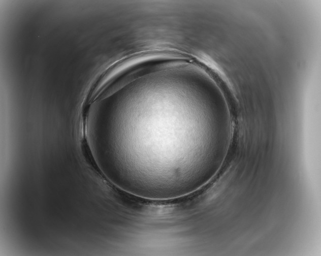 X0000088691269200705311150