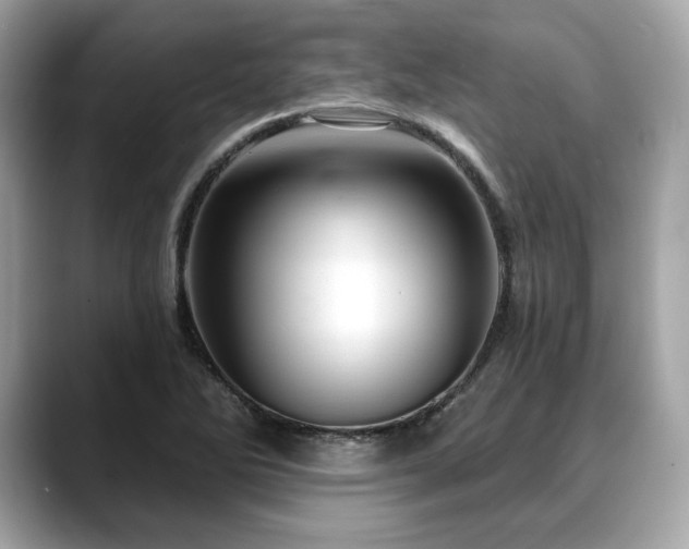 X0000088691270200705311150