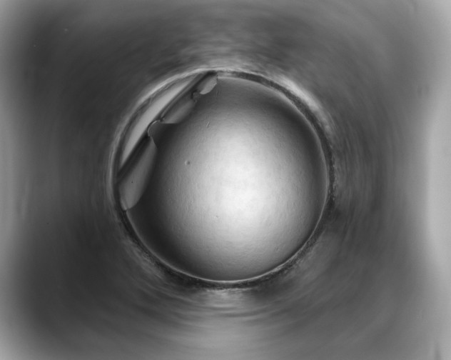 X0000088691272200705311150