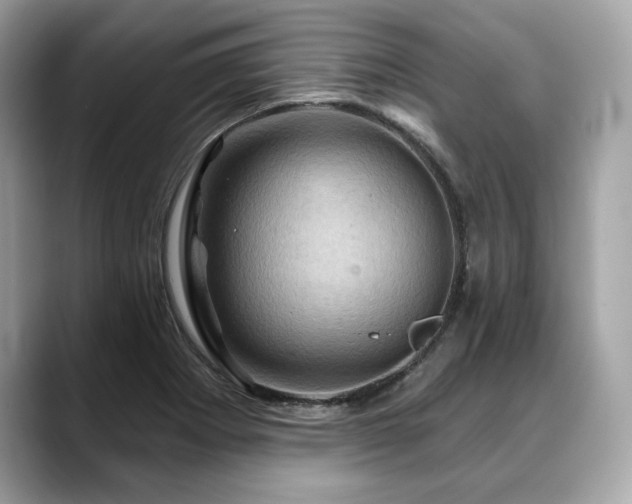 X0000088691273200705311150