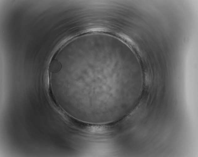 X0000088691274200705311150