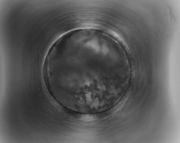X0000088691275200705311150