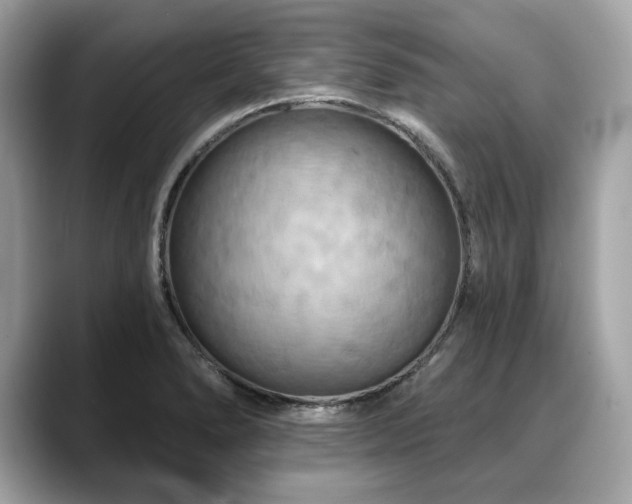 X0000088691278200705311150