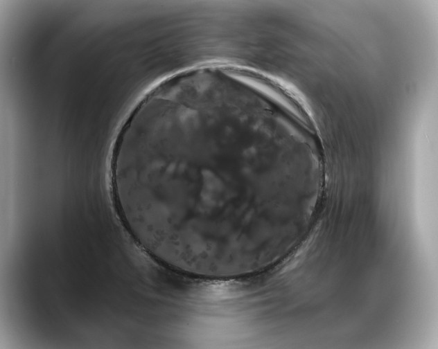 X0000088691279200705311150