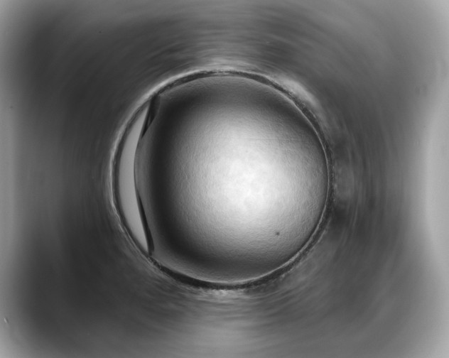 X0000088691280200705311150