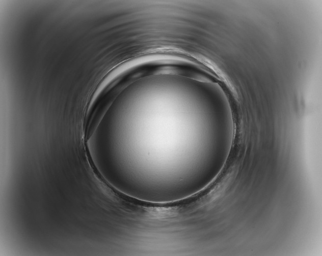 X0000088691281200705311150