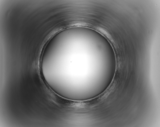 X0000088691282200705311150