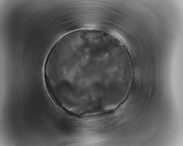 X0000088691283200705311150