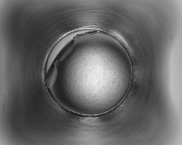 X0000088691284200705311150