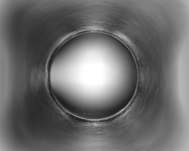 X0000088691286200705311150