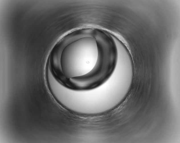 X0000088691287200705311150