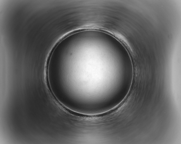 X0000088691288200705311150