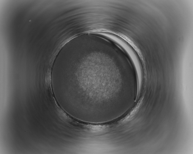 X0000088691289200705311150