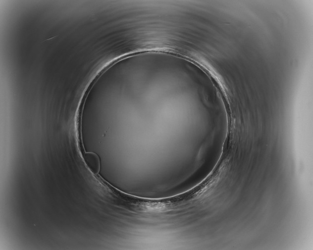 X0000088691291200705311150