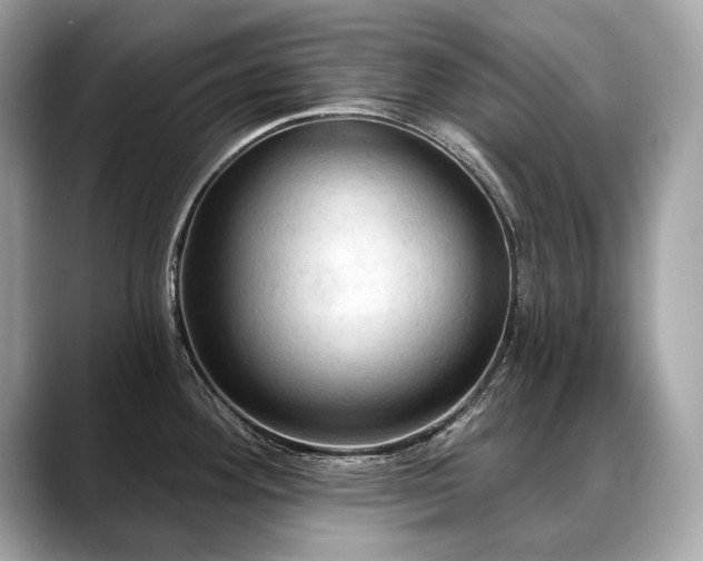 X0000088691292200705311150