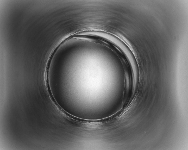 X0000088691293200705311150
