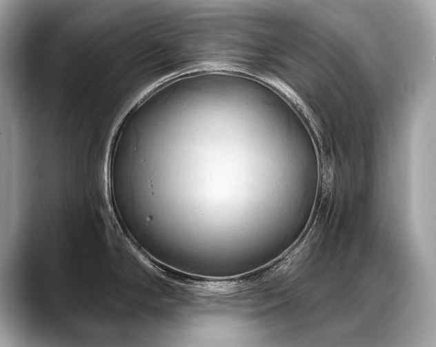 X0000088691294200705311150