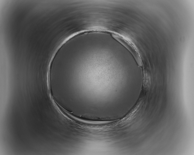 X0000088691295200705311150