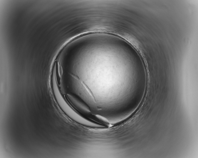 X0000088691296200705311150